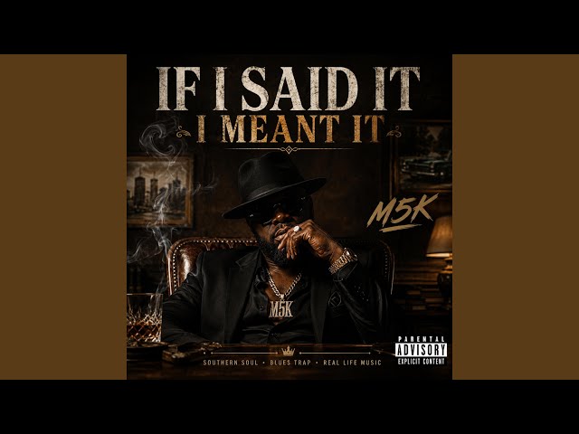 If I Said It I Meant It