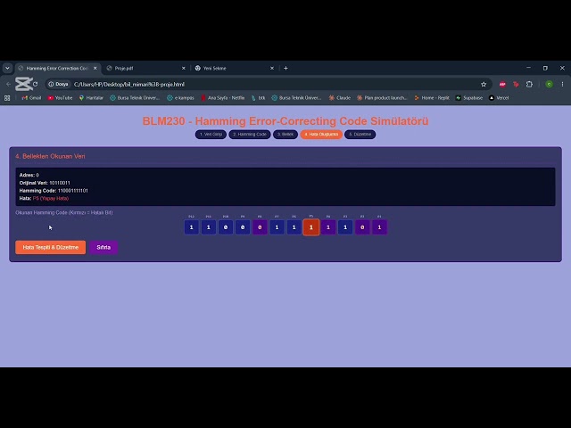 Hamming Error - Correcting Code Simülatörü