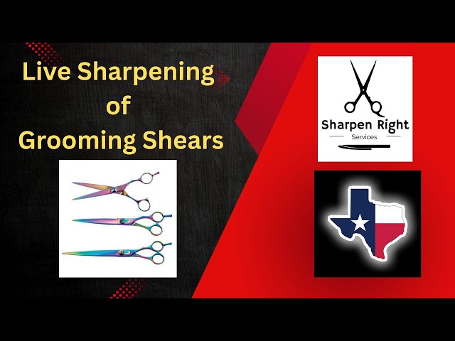 Sharpening Pet Grooming Shears