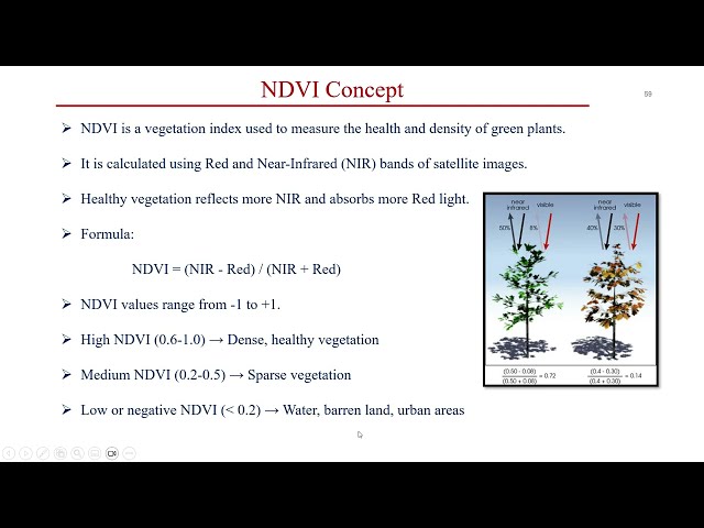 How Satellites See Vegetation & Water | Python Band Math with NumPy & Pandas | GIS Series