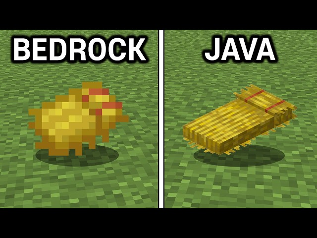 200 Java vs Bedrock Features!