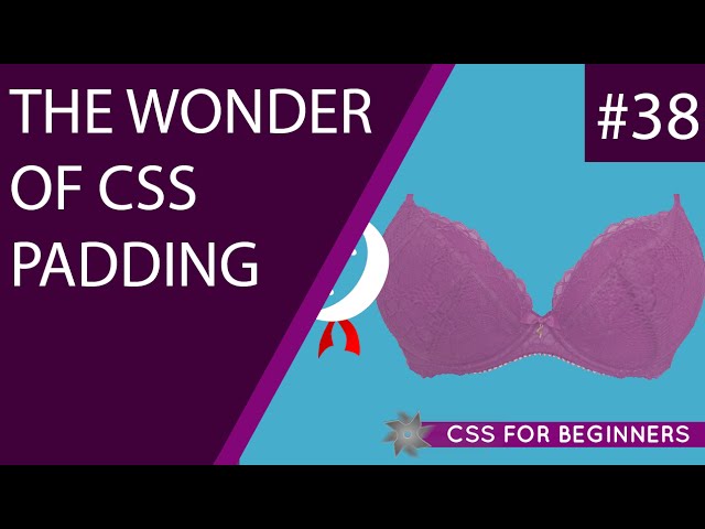 CSS Tutorial For Beginners 38 - Padding