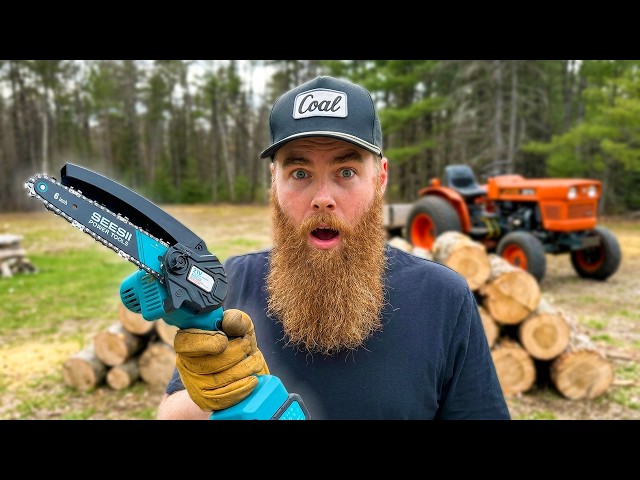 Can a Mini Chainsaw Actually Harvest Firewood?