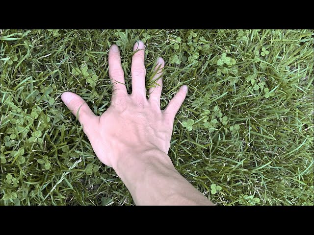Touching grass for the first time...
