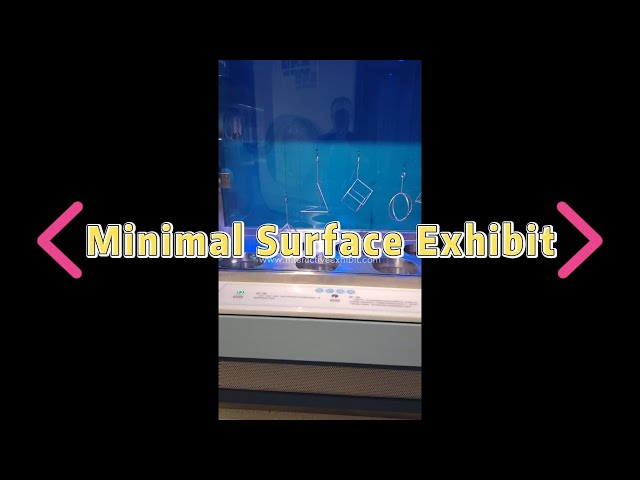 Minimal Surface Lab Math Exhibit | Explore Geometry via Soap Film Experiment & Visualization