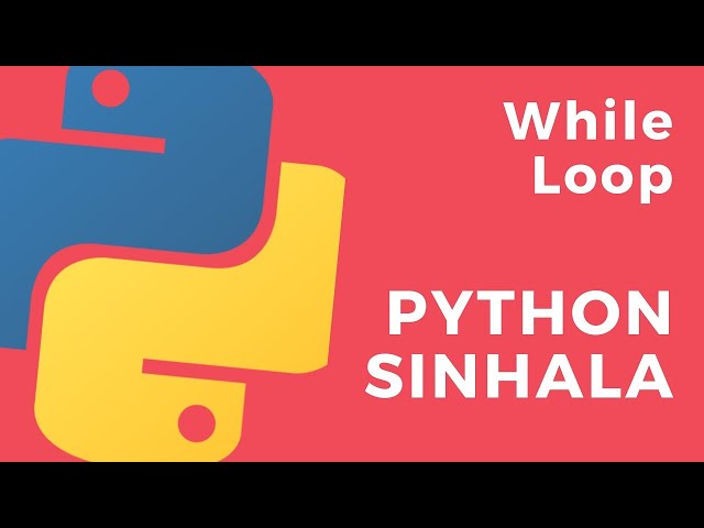 Python Sinhala (Part 22) - While Loop