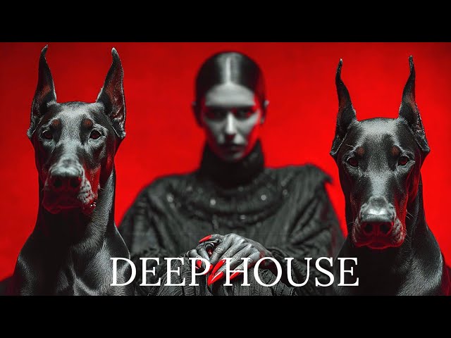 AIMusic house «Rain on the Window»