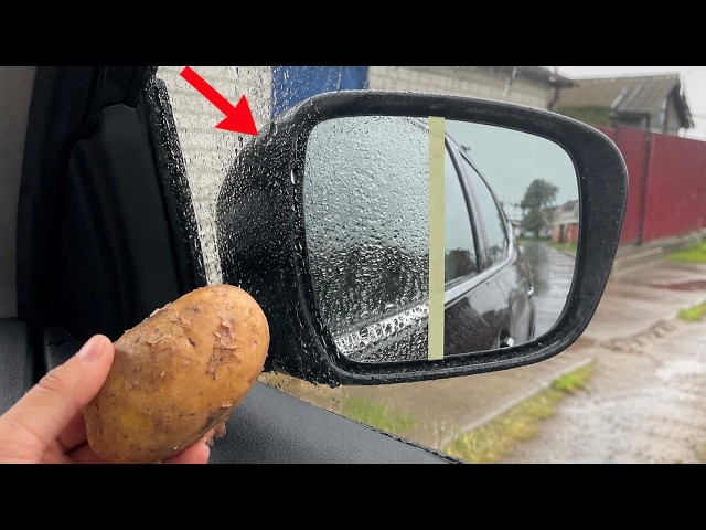 Even the rich DO IT WITH POTATOES in their cars  Everyone kept quiet about it