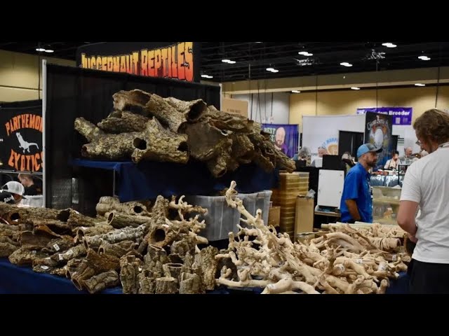 Visiting One of the Largest Reptile Expos In The Country! | NARBC Tinley Park