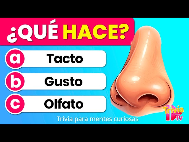 100 Preguntas de Primaria | Trivia de Cultura General Fácil