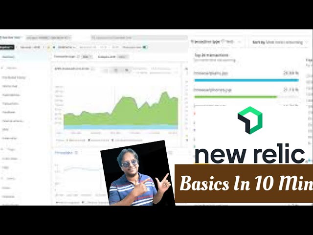 What is New Reli? New Relic Basics