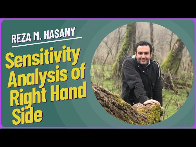 Sensitivity Analysis of RHS Constraints  Linear Programming Explained