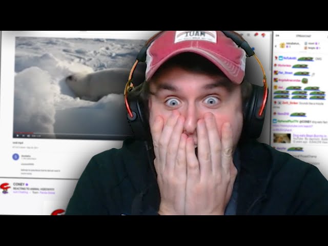 Coney Becomes a React Andy