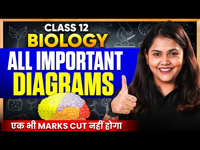 Class 12 Biology All Important Diagrams - One Shot | CBSE Board Exam 2026 🔥