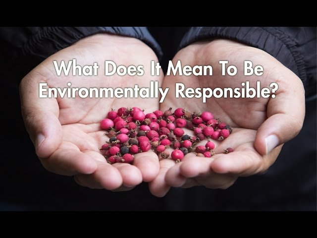 Part 1:  What does it mean to be environmentally responsible?
