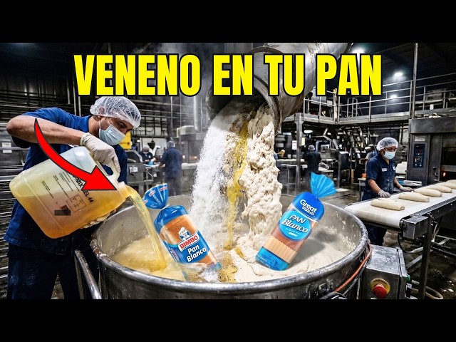 EVITA Estas 9 Marcas de PAN de Caja (Solo 3 Son Pan de Verdad)