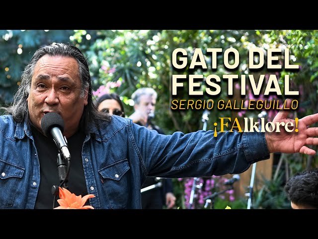 Festival Cat - Sergio Galleguillo | FAlklore! Sessions