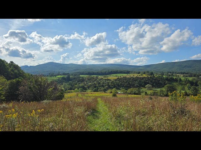 Appalachian Trail Thru Hike SOBO 2026 | Day 101