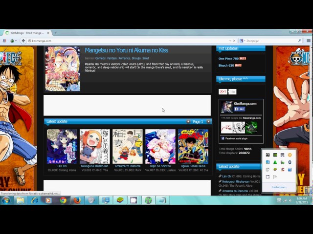 Tor Browser (just a glimpse)