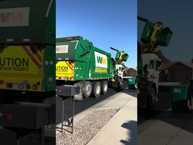 Brand New WM python on trash 10/8/24