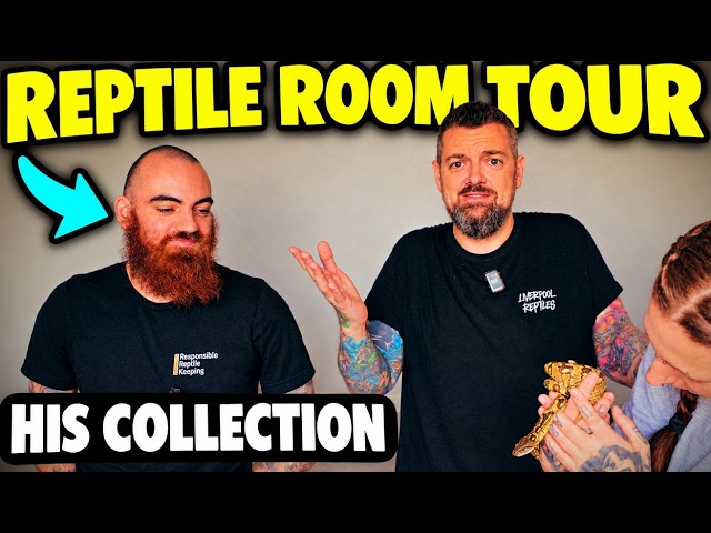 Reptile Room Tour: His Snake Collection Blew Us Away