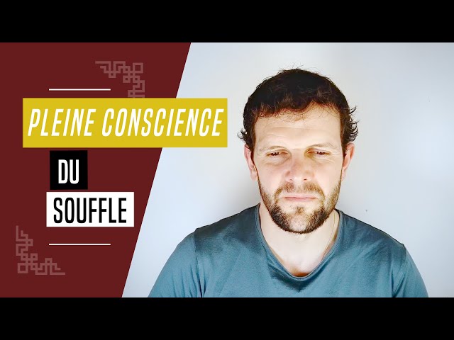 Méditation de pleine conscience sur le souffle. 4/10 | 2023 #concentration #pleineconscience