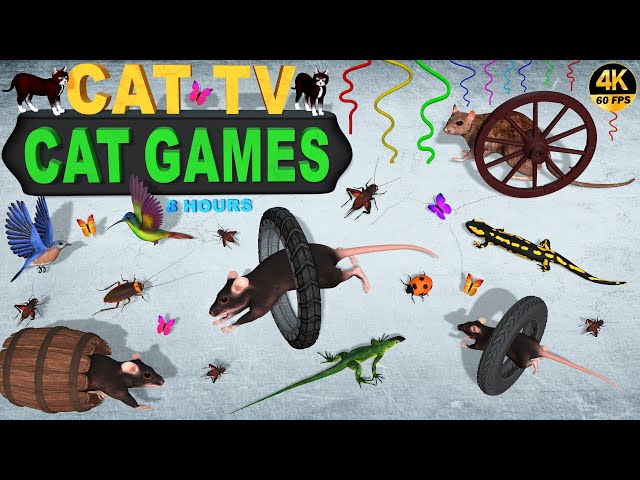 CAT GAMES OFFICIAL | ULTIMATE CAT ENTERTAINMENT VIDEOS FOR CATS TO WATCH | CAT TV 😻 4K 8 HOURS