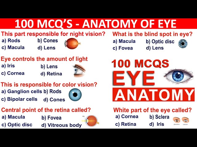 Eye mcqs | anatomy of human eye mcqs | 100 mcqs human eye anatomy | optometry mcqs | #optometrists
