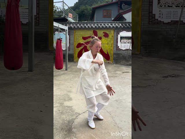 Unlocking the Tai Chi 36 Form in Wudang