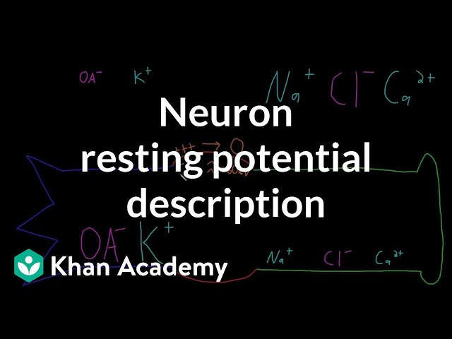 Neuron resting potential description | Nervous system physiology | NCLEX-RN | Khan Academy