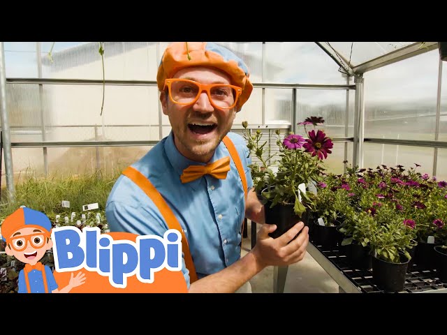Blippi Visits a Greenhouse | Educational Videos For Kids
