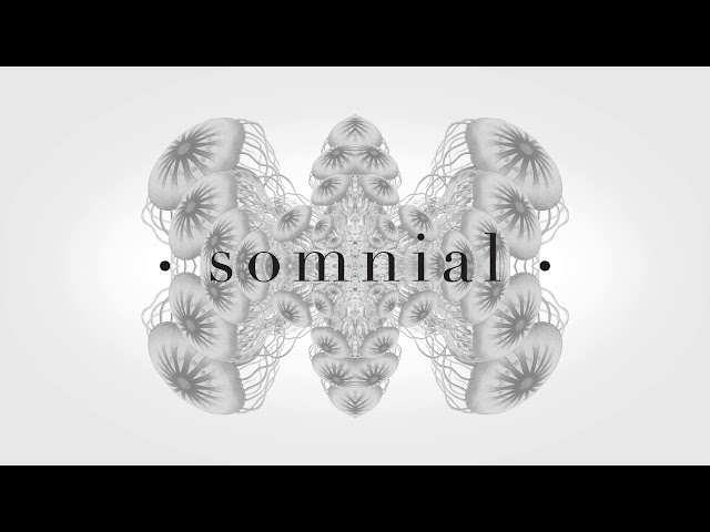 Somnial - Galbe (Official Artwork Video)