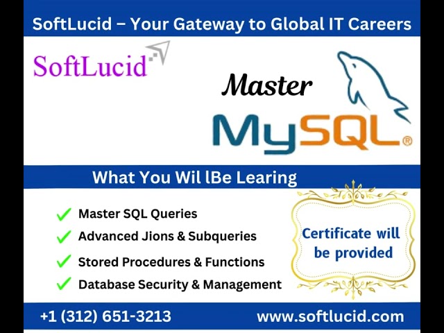 SoftLucid   Leading