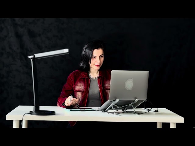 Prototype Demonstration & Preliminary User Testing 
