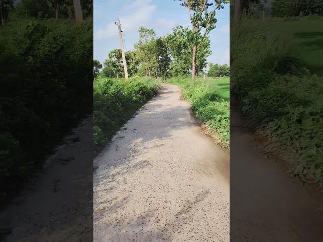LEAVING THE WORLD BEHIND #nepalpost #newvideo #hindi #youtubeshorts #latestnews #like