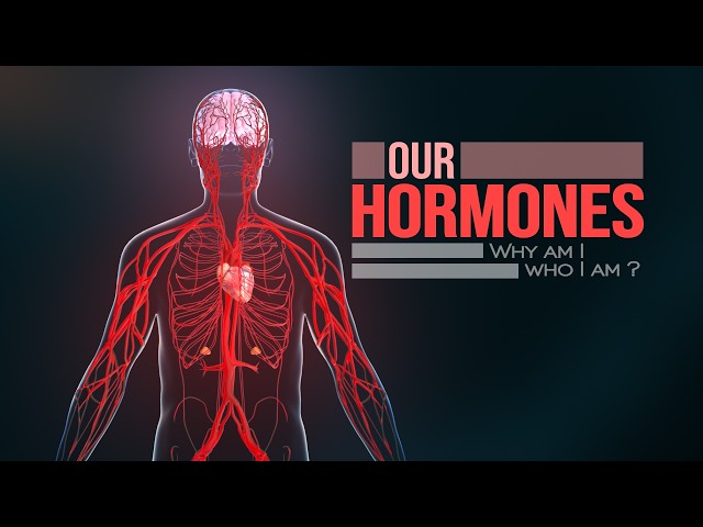 How your Hormones work! (Animation)