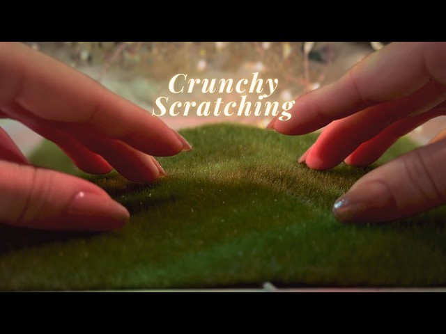 ASMR Crunchy Texture Scratching🫠 Sharp Brain Tingles💫 (No Talking, No Mouth Sounds)