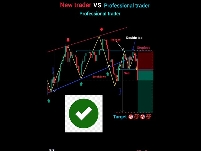 New Trader vs professional Trader price action trading courses #crypto #forex #strategy #trading