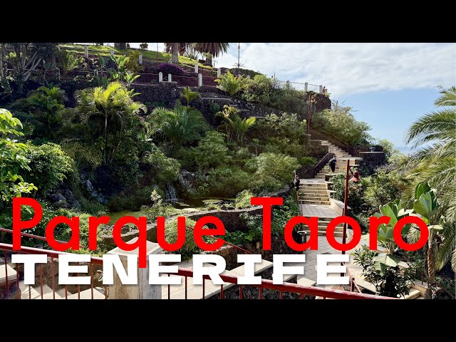 Tenerife - Parque Taoro, Puerto de la Cruz 🌺