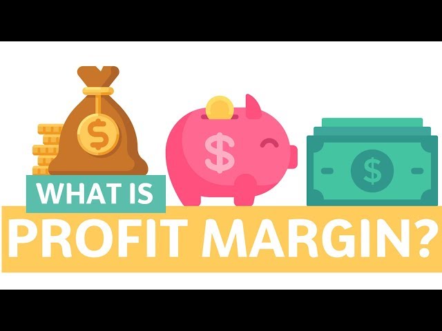 What is Profit Margin?