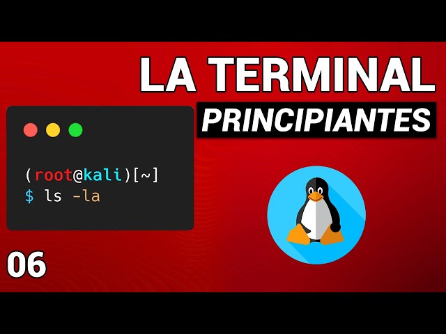 Cómo Usar la TERMINAL + COMANDOS Básicos de LINUX: Tutorial de KALI LINUX 2025 Ciberseguridad #06
