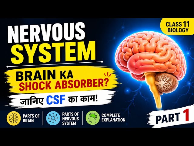 Nervous System Part 1 | Complete Topic | 11th Biology | TET Exam 2026