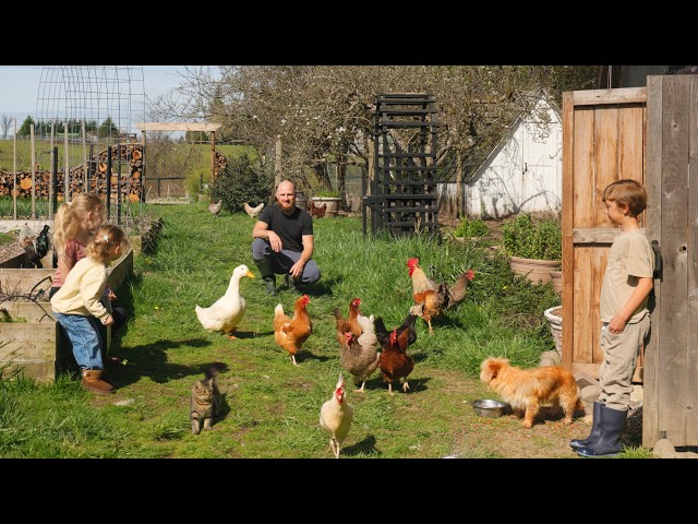 Peaceful Farm Life in Spring | Baby Animals, Garden Chores & Slow Living