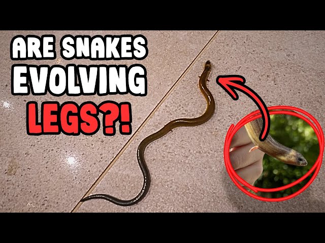 This is NOT What We Expected to Find...