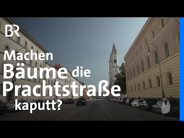 Stadtbegrünung vs. Architektur: Wie viel Grün verträgt die Prachtstraße? | Capriccio | BR