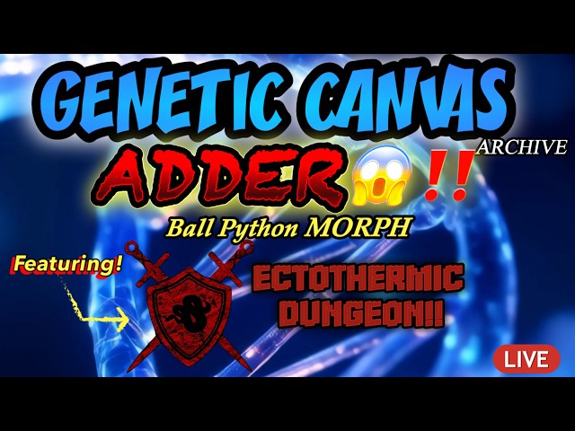 GENETIC CANVAS- ADDER BALL PYTHON MORPH & COMBOS!! Featuring ECTOTHERMIC DUNGEON- Archive