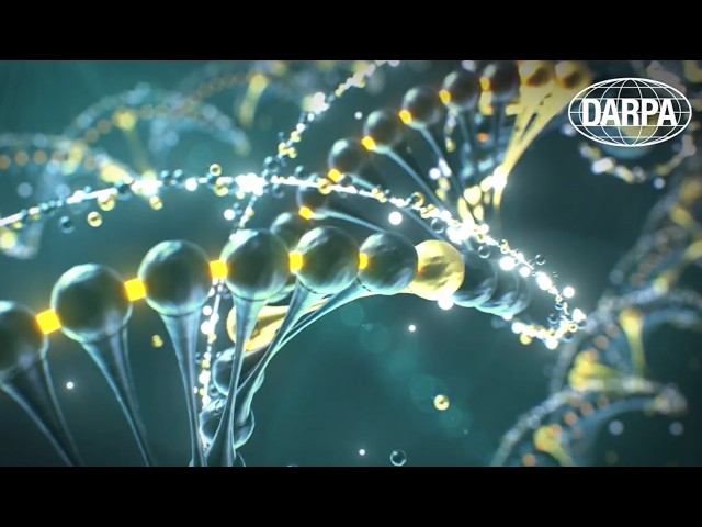 PROSE: Protein Sequencing