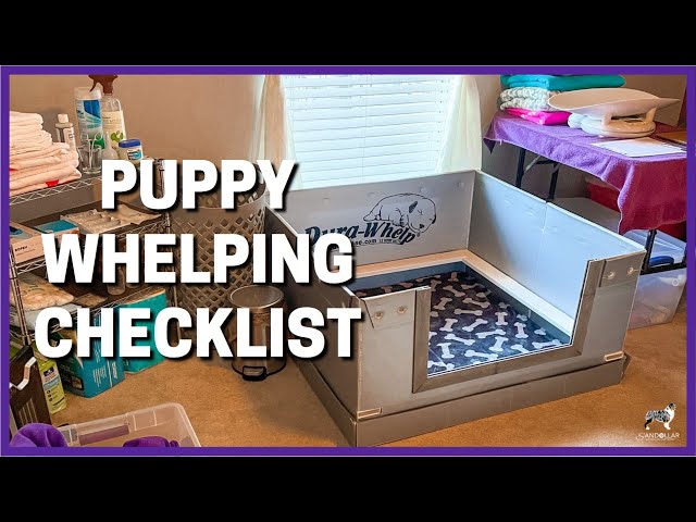 Puppy Whelping Checklist