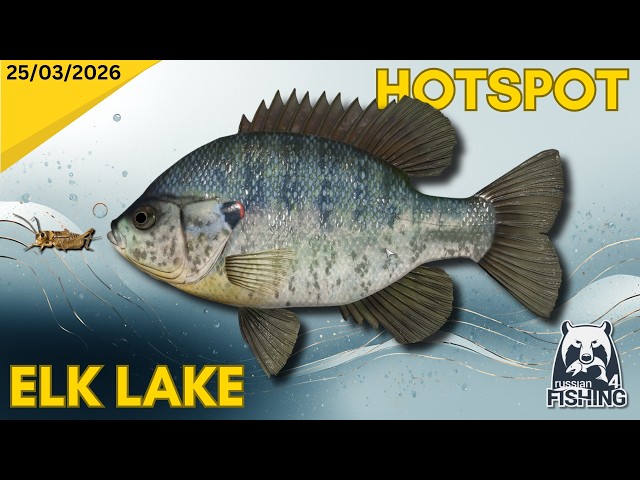 Elk Lake Redear Sunfish Hotspot - Russian Fishing 4