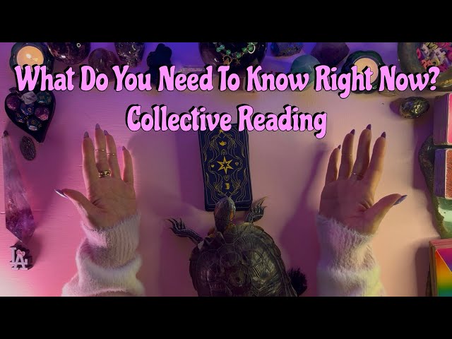 🐢What Do You Need To Know Right Now!🐢 Collective Reading